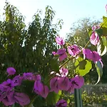 Slavica * Lozovac