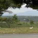Slavica Apartmán Lozovac