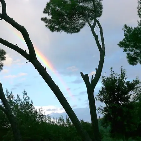 Slavica Διαμέρισμα Lozovac