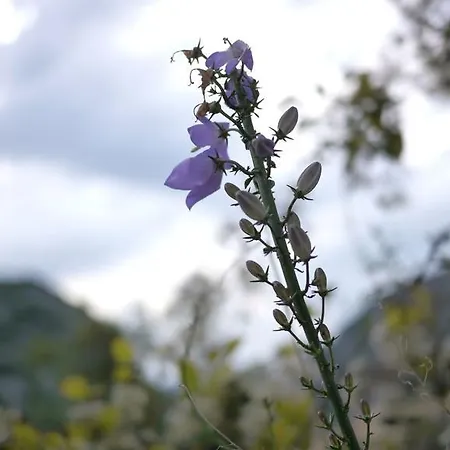 Slavica Διαμέρισμα *