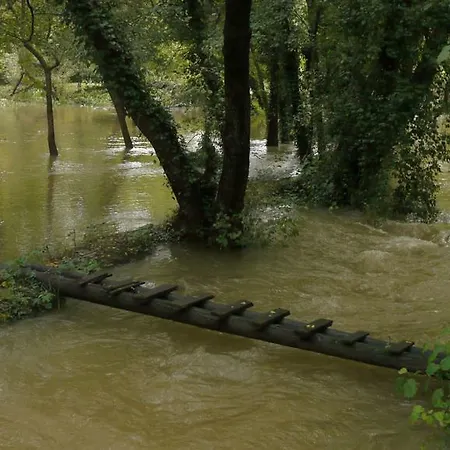 Slavica * Lozovac
