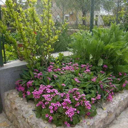 Slavica Διαμέρισμα Lozovac