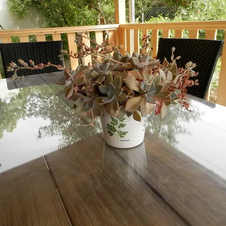 Slavica Apartamento *