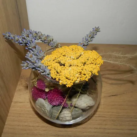 Apartamento Slavica *