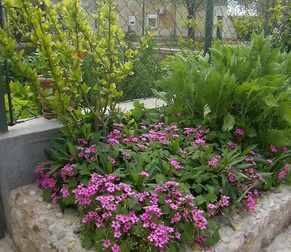 Slavica Apartman Lozovac